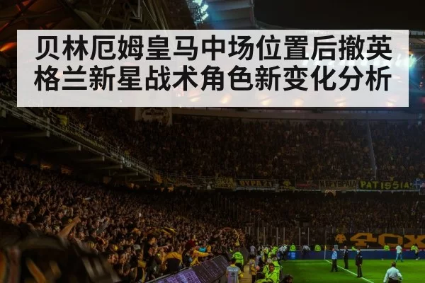 football stadium night crowd