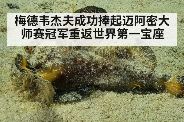 梅德韦杰夫成功捧起迈阿密大师赛冠军重返世界第一宝座